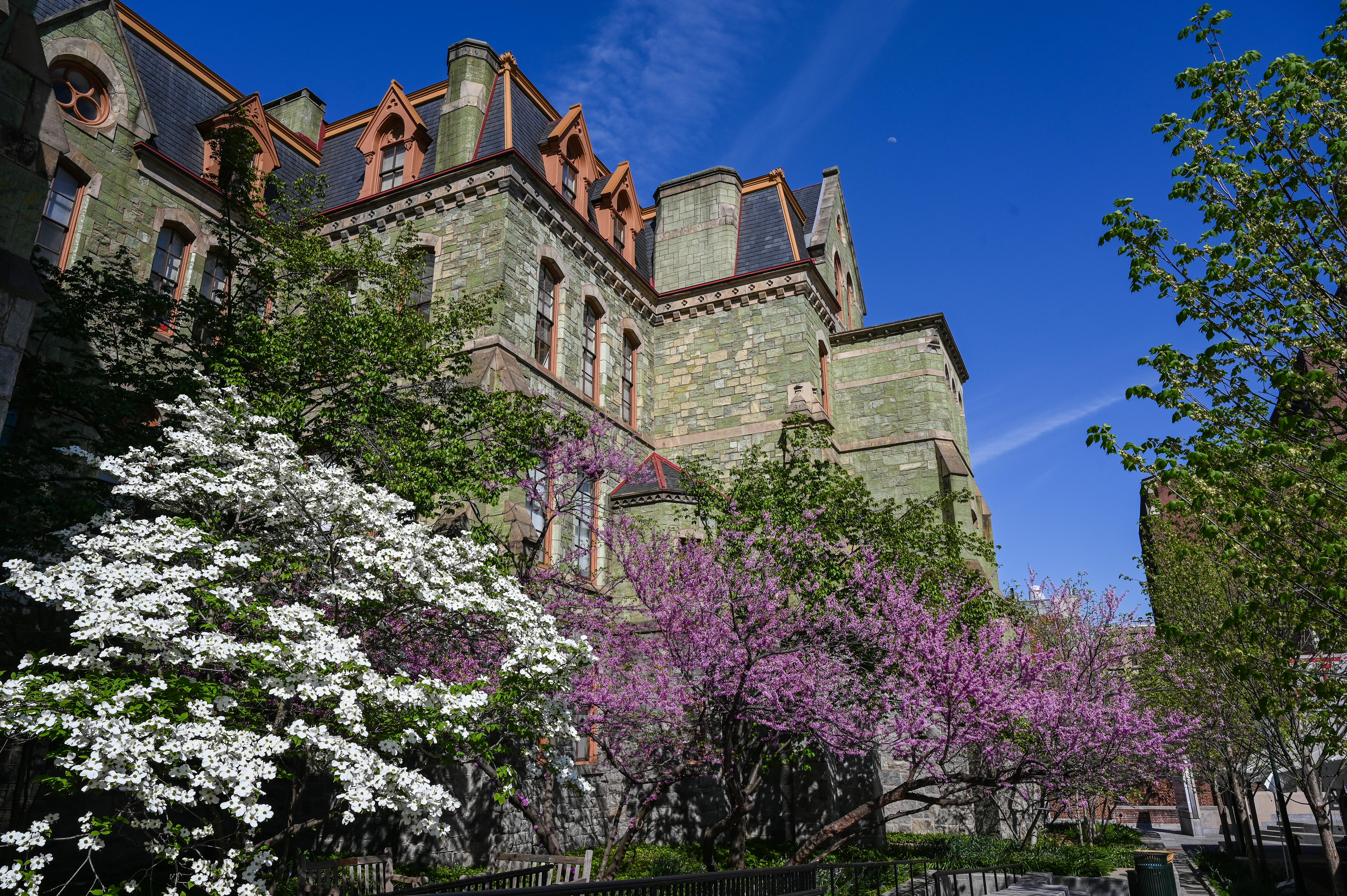 a portrait of a campus building with castle-like features. It is nestled among pink and white trees in full bloom..