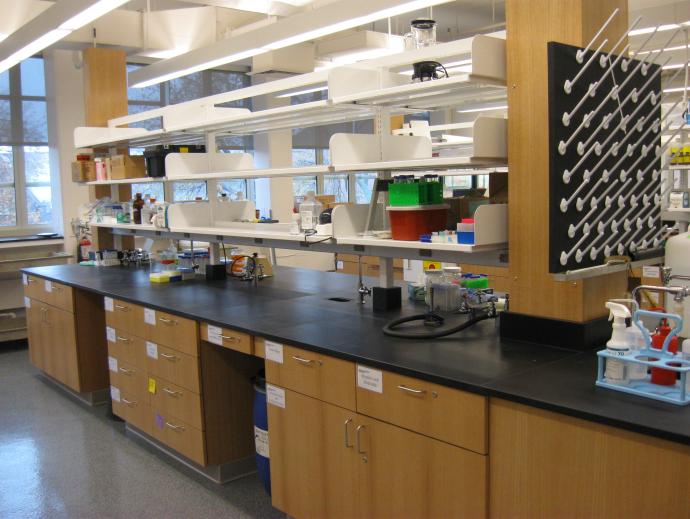 lab benches and drying racks