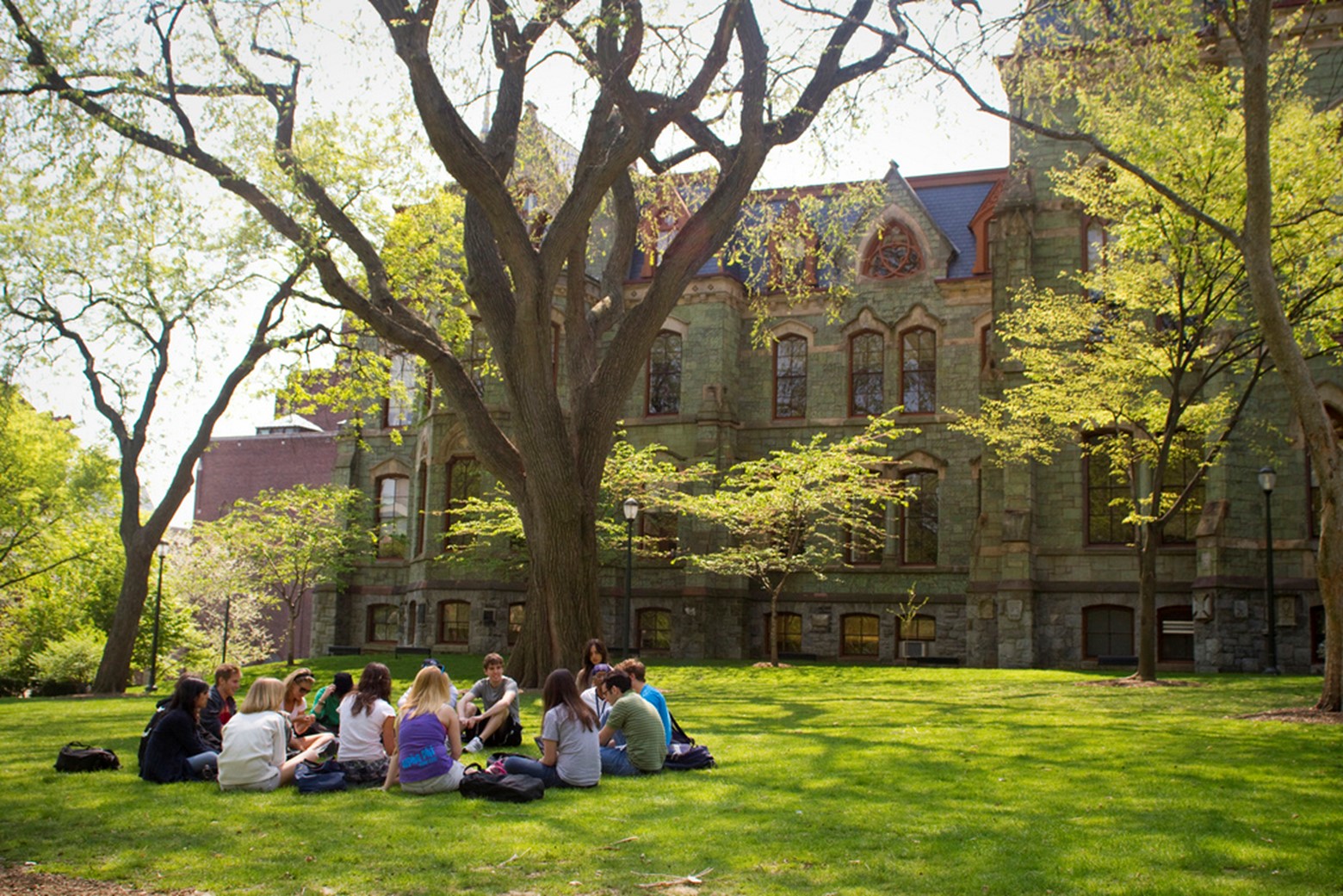 The Penn Treaty elm in College Green