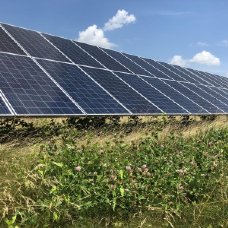 Large row of solar panels facing the sky