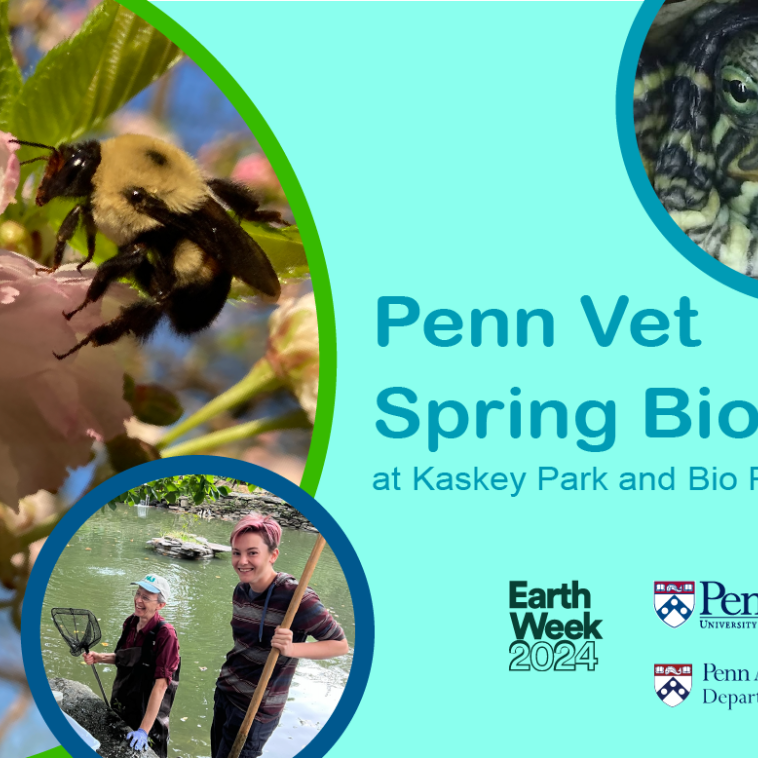Penn Vet Bi-Anual BioBlitz