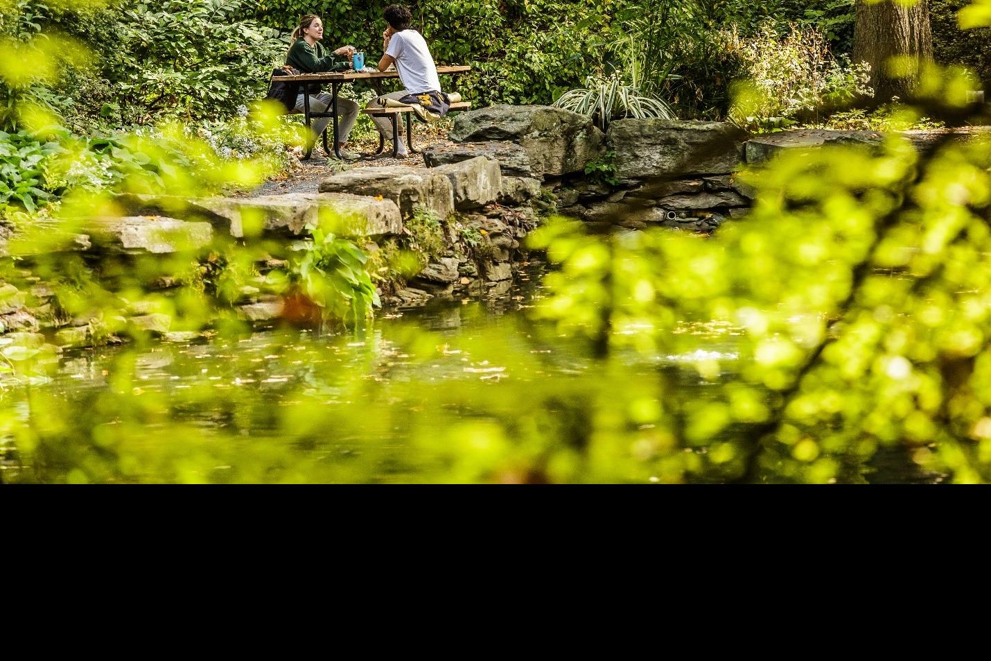 two students at table in tree area