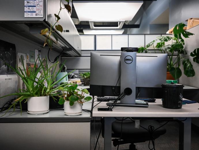 office desk with many plants