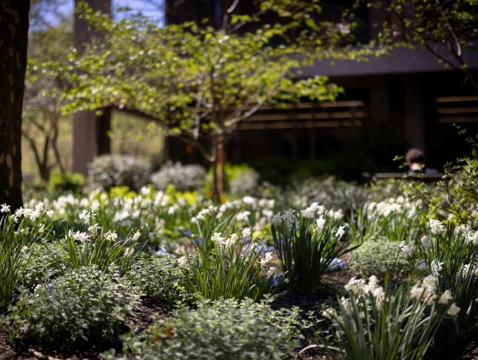Five years since the Ecological Landscape Stewardship Plan was written, the effort that goes into maintaining and beautifying Penn’s campus incorporates ecology and sustainability more than ever before.