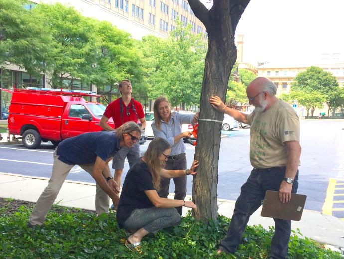 five people examining a tree at Penn