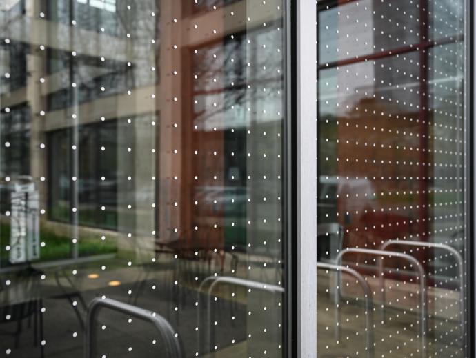 glass panes on doors with large windows are shown with a pattern of dots that have been added to minimize bird strikes