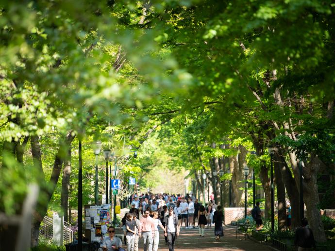 Folks strolling down Locust Walk