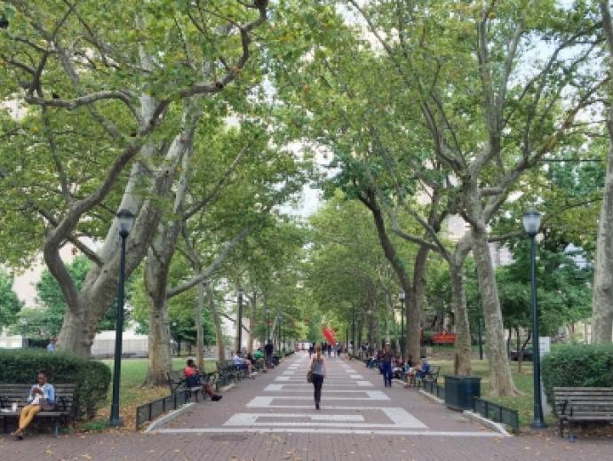 Students walking down Locust Walk