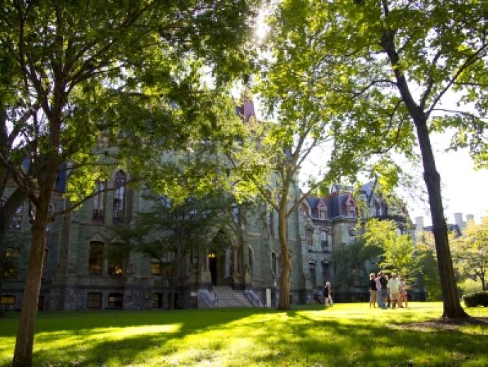 Sun shining through green trees in front of college green