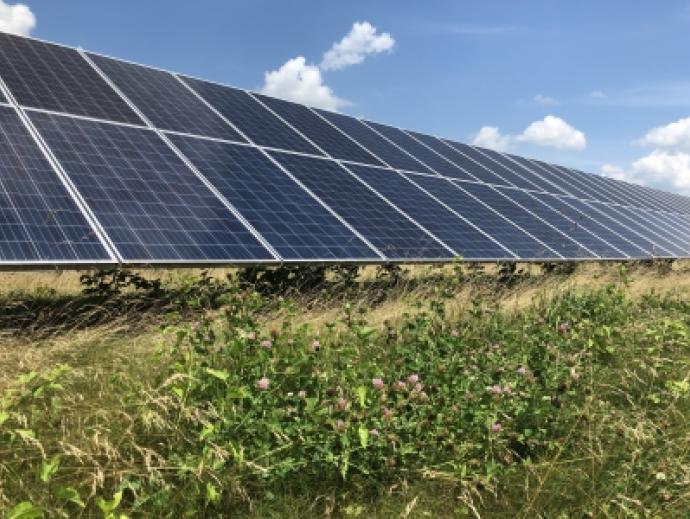 Large row of solar panels facing the sky