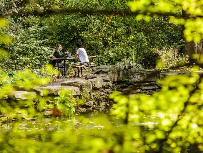 two students at table in tree area