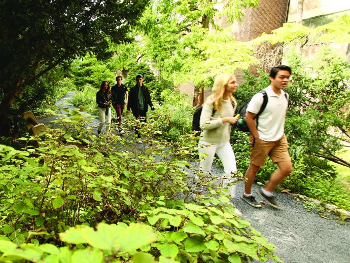two student groups walking near biopond