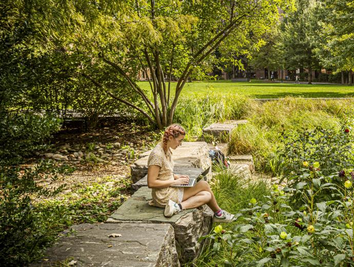 Student sitting on shoemaker green raingarden