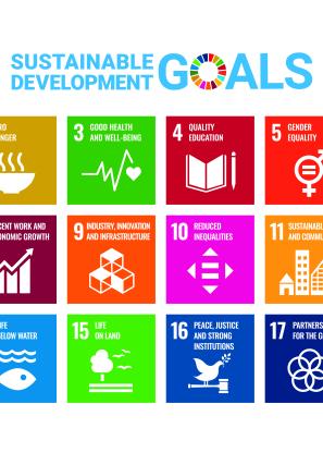 The Sustainable Development Goal Icons