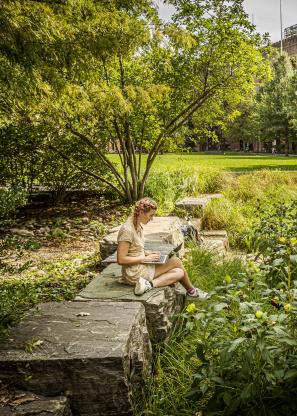 Student readings on Shoemaker Green