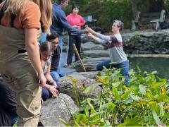 People collaborating an outdoor project